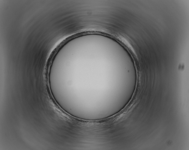 X0000091001068200708021220