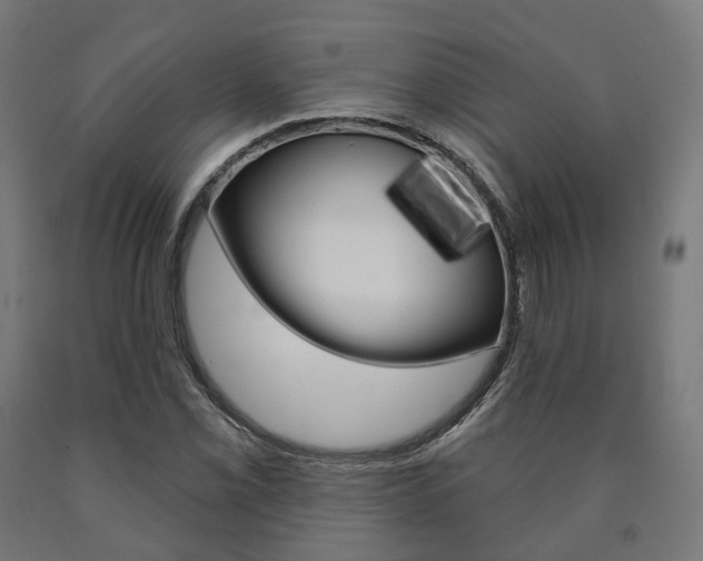 X0000091001069200708021220