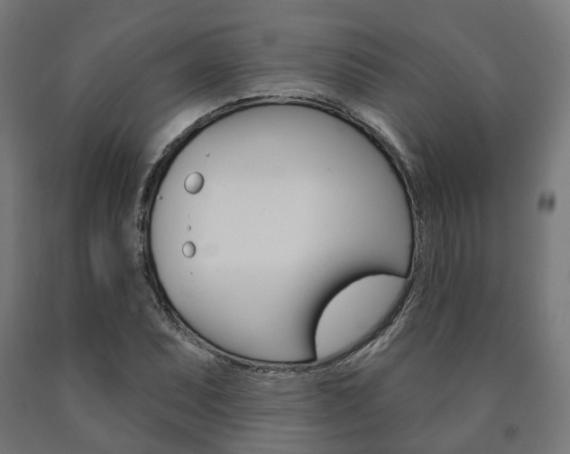 X0000091001071200708021220