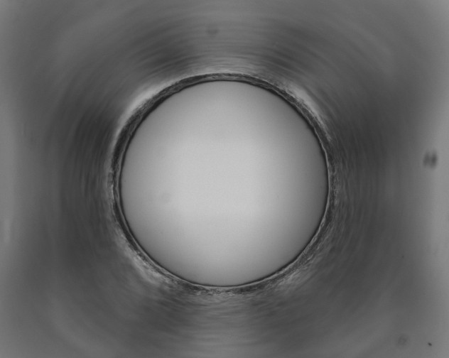 X0000091001072200708021220
