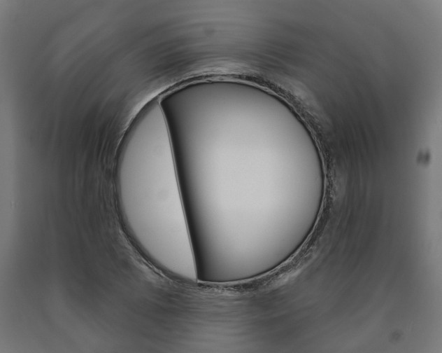 X0000091001073200708021220