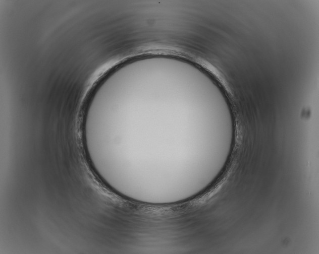 X0000091001074200708021220