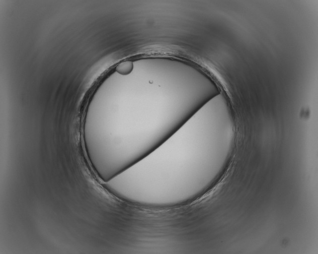 X0000091001075200708021220