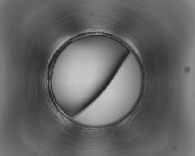 X0000091001076200708021220