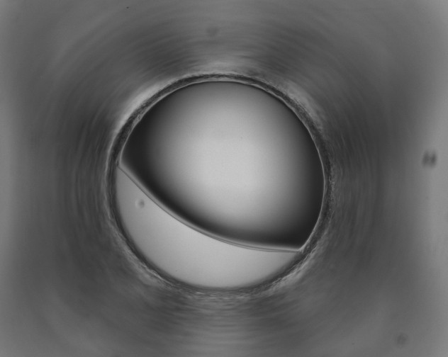 X0000091001077200708021220