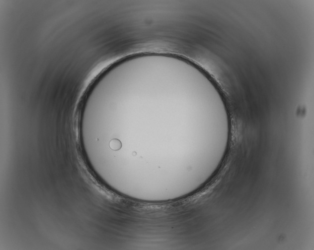X0000091001078200708021220