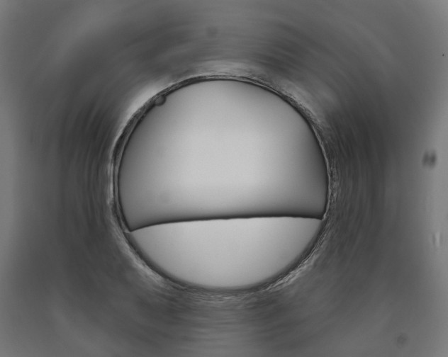 X0000091001079200708021220