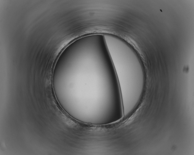 X0000091001081200708021220