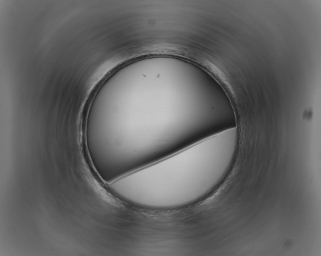 X0000091001082200708021220