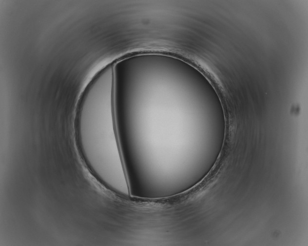 X0000091001085200708021219