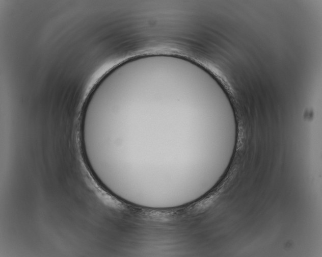 X0000091001086200708021219