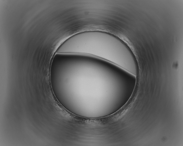 X0000091001089200708021219
