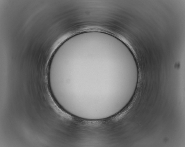 X0000091001090200708021219