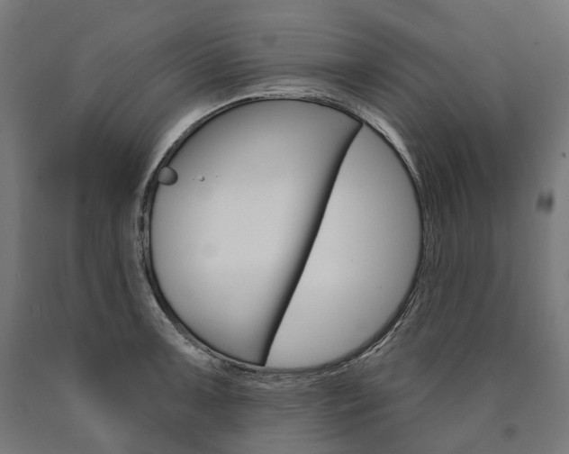 X0000091001091200708021219