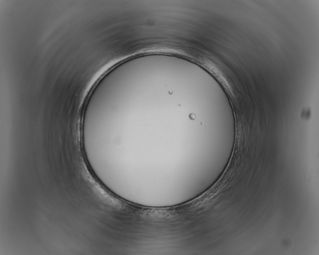 X0000091001092200708021219