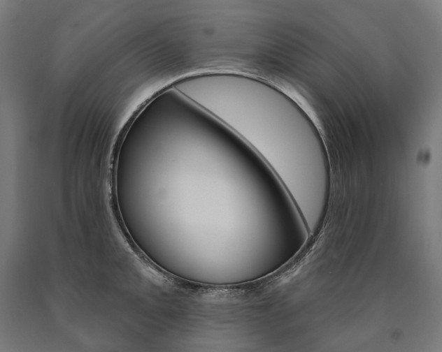 X0000091001093200708021219