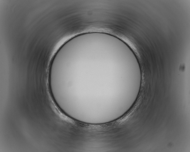 X0000091001094200708021219