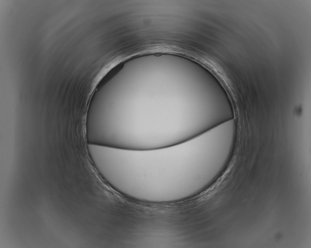 X0000091001097200708021219