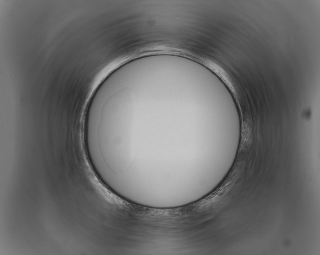 X0000091001098200708021219