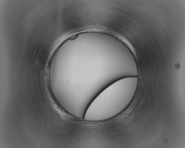 X0000091001099200708021219