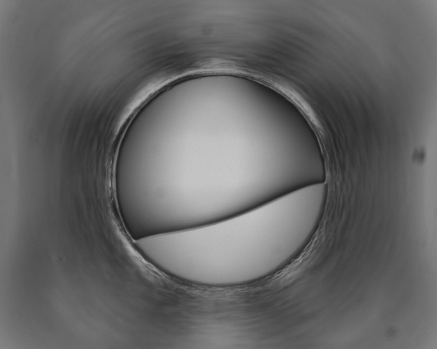 X0000091001101200708021219