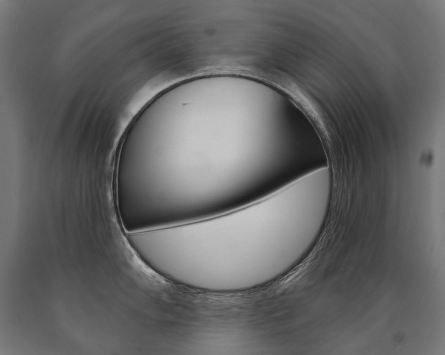 X0000091001102200708021219