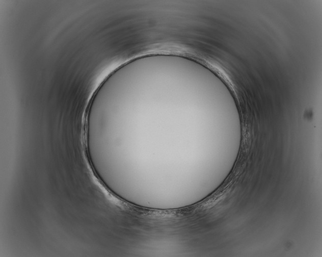 X0000091001103200708021219