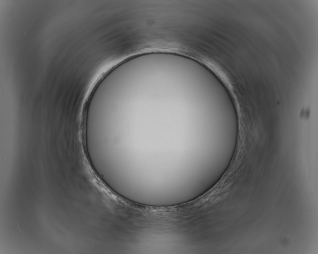 X0000091001104200708021219