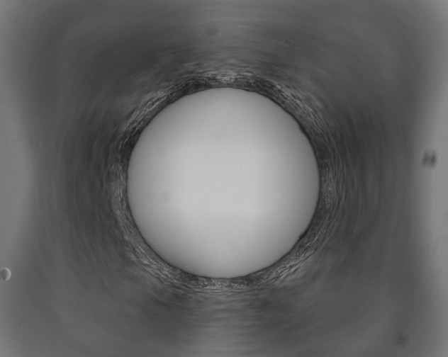 X0000091001105200708021219