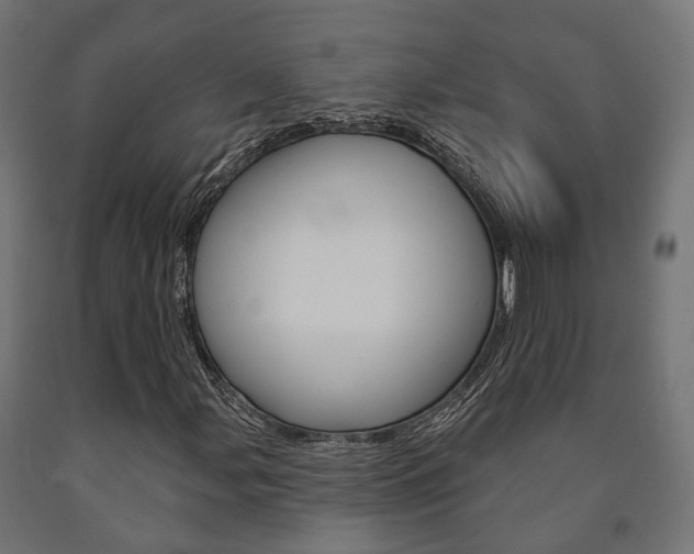 X0000091001107200708021219