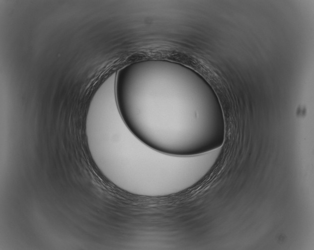 X0000091001108200708021219