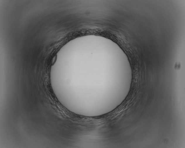 X0000091001109200708021219