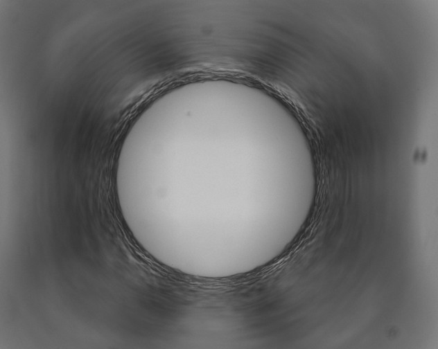 X0000091001110200708021219