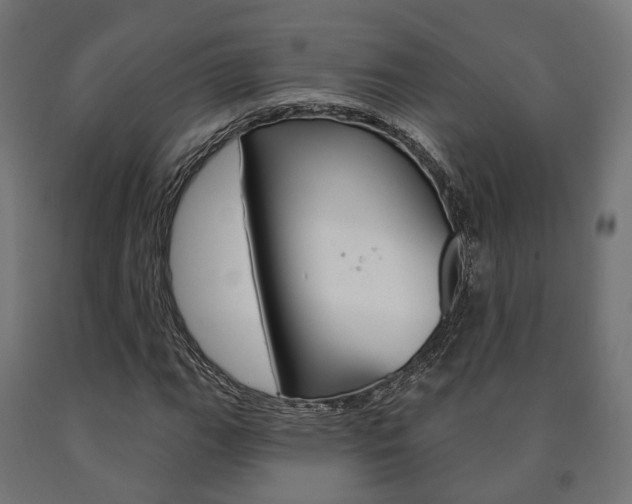 X0000091001111200708021219