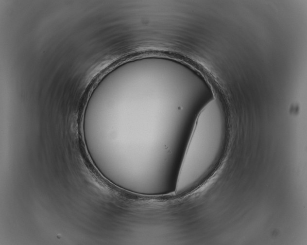 X0000091001113200708021219