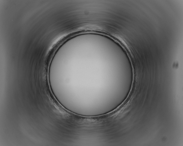 X0000091001115200708021219
