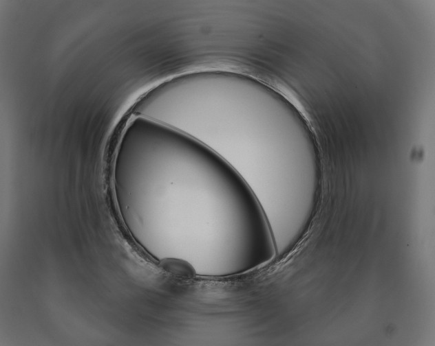 X0000091001116200708021219