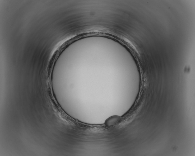 X0000091001117200708021219