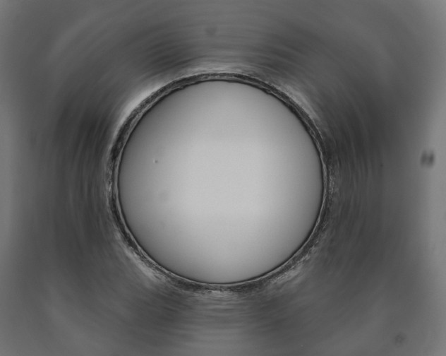 X0000091001119200708021219