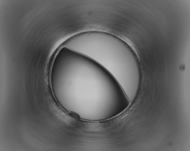 X0000091001120200708021219