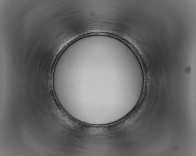 X0000091001121200708021219