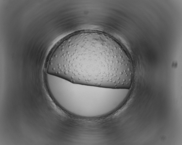 X0000091001125200708021219
