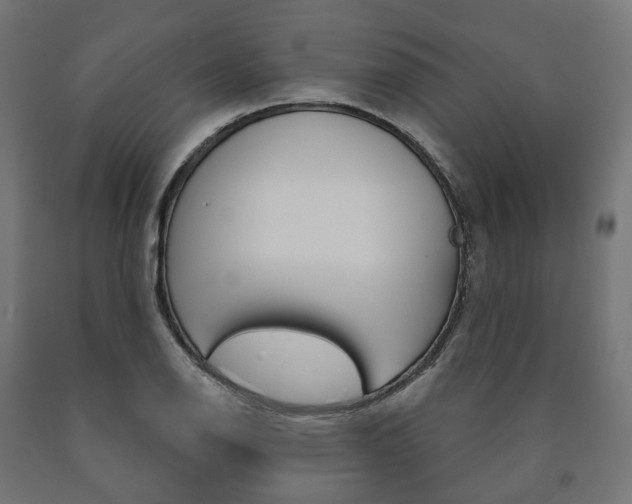 X0000091001126200708021219