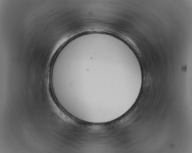 X0000091001130200708021219