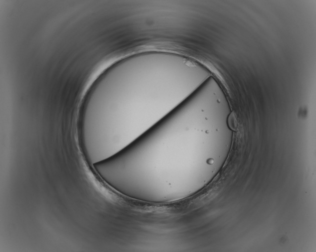 X0000091001131200708021219