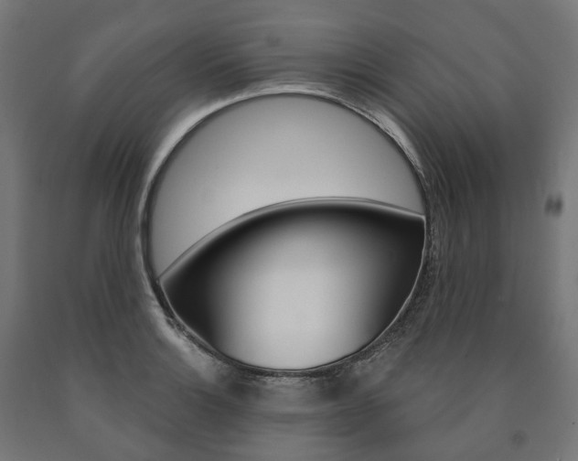 X0000091001132200708021219