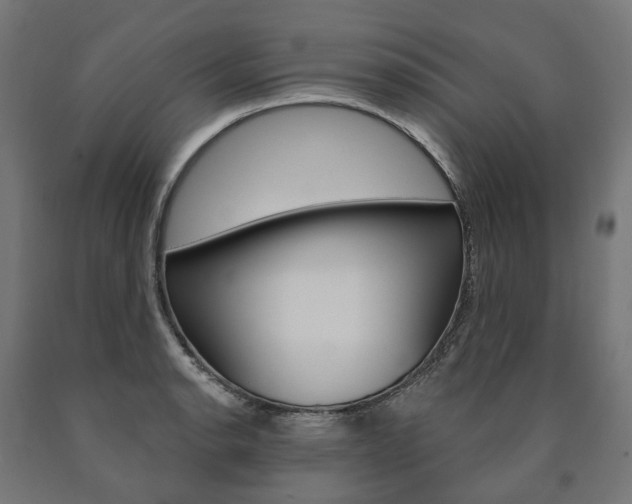X0000091001134200708021219