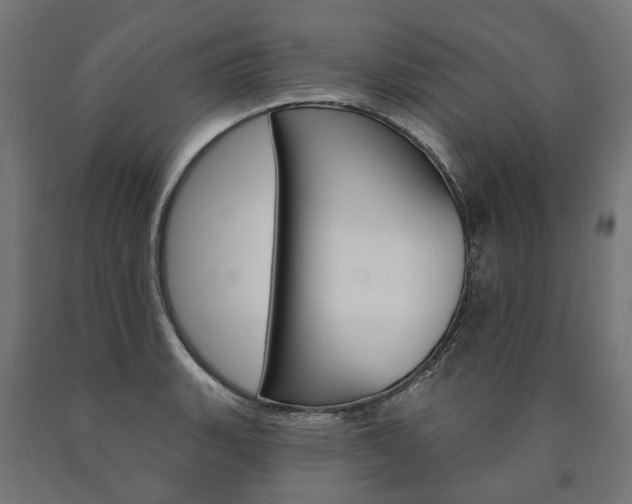 X0000091001135200708021219