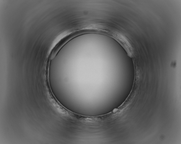 X0000091001138200708021219