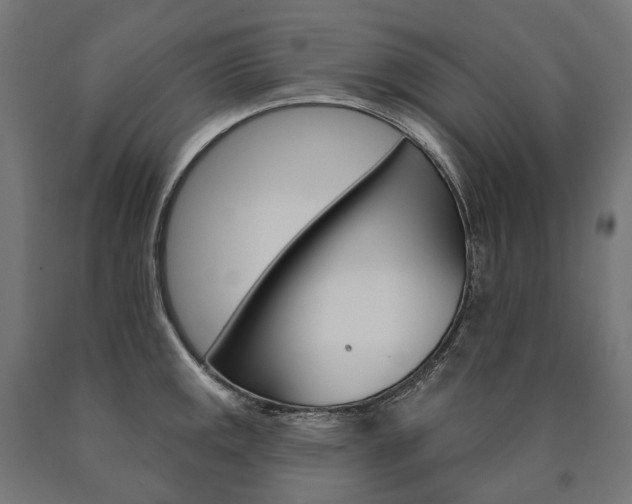 X0000091001141200708021219